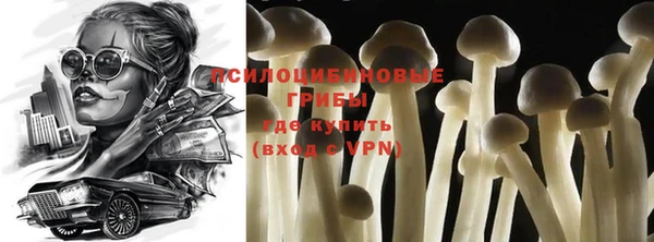 прущие крисы Лихославль