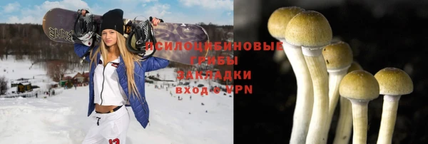 бошки Лиски
