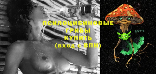 бошки Лиски