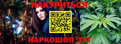 прущие грибы Абакан