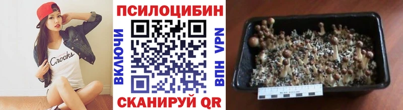Галлюциногенные грибы GOLDEN TEACHER  наркота  Лесозаводск 