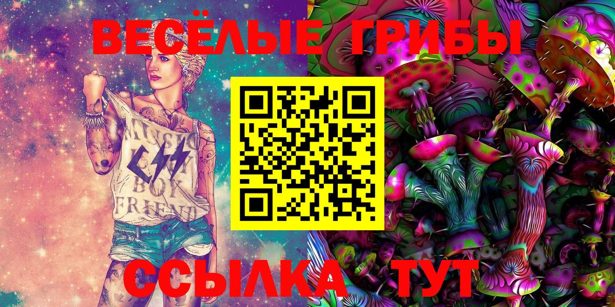 Лесозаводск  Галлюциногенные грибы мицелий  Вход с VPN 