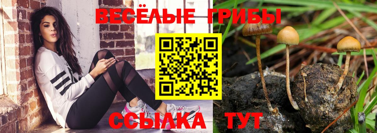 Галлюциногенные грибы GOLDEN TEACHER Лесозаводск